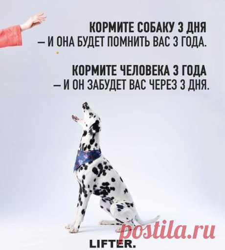 Рамазан Алиаров | Facebook