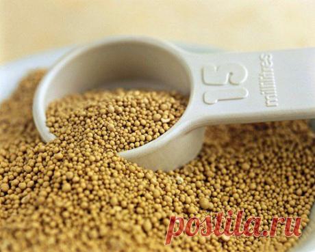 УДОБРЕНИЕ РАСТЕНИЙ ДРОЖЖАМИ.