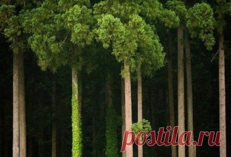 Фотографии на стене сообщества – 58 801 фотография | ВКонтакте