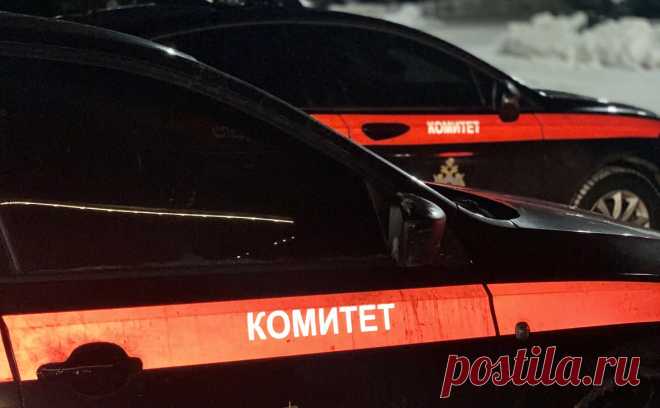 СК завел дело из-за пригрозившего «бить русских» кавказца в автобусе. Следователи возбудили уголовное дело после инцидента с кавказцем в московском автобусе.
