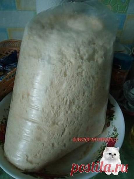 МОЕ ЛЮБИМОЕ ТЕСТО ДЛЯ ПИРОЖКОВ....
2 СТ. ТЕПЛОЙ ВОДЫ,
2 ЯЙЦА,
2 СТОЛОВЫЕ ЛОЖКИ САХАРА,
1 НЕПОЛНАЯ СТ.ЛОЖКА СОЛИ,
1 ПАЧКА СУХИХ ДРОЖЖЕЙ ( 11 ГРАММ),
0,5 СТАКАНА РАСТИТЕЛЬНОГО МАСЛА,
МУКИ 800-900 ГРАММ.
ЗАМЕШИВАЕМ И НА СОРОК МИНУТ В ХОЛОДИЛЬНИК.
(Можно завести с вечера и убрать в холодильник!!! И затем использовать когда у Вас есть время!!!