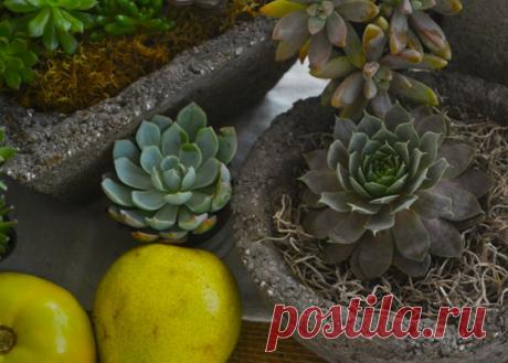 3 Creative Ways to Display Hypertufa in Your Outdoor Space | Garden Club