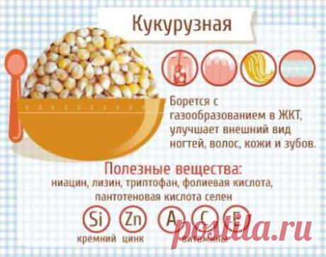 Сама себе хозяйка
