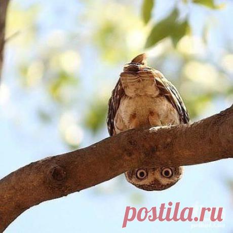 ...Если вам что-то не нравится.....посмотрите на это с другой стороны )))))