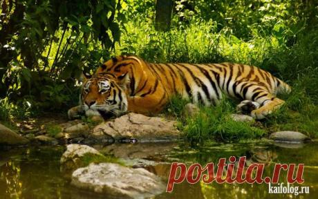 Нереально красивые фотографии. Любуемся, друзья.