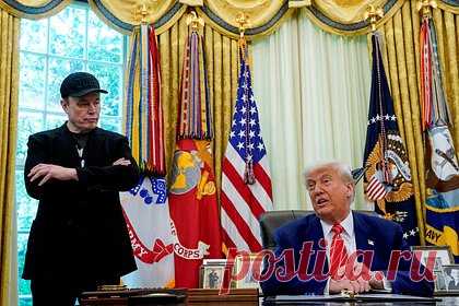 Стало известно о разговоре Трампа и Маска наедине