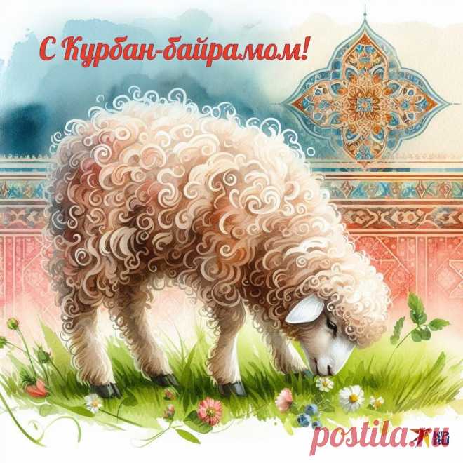 В праздник Курбан Байрама прошу принять самые чистые и добрые пожелания здоровья, мира, достатка, радости, гармонии и счастья.