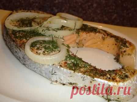 лосось 
лук репчатый (по 1 луковице на каждый кусок рыбы) 
укроп 
итальянские травы (розмарин, базилик, тимьян)- 1/3 ч.ложки (можно другие специи) 
соль, перец - по вкусу