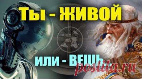ЖИВОРОЖДЁННЫЕ или МЁРТВЫЕ ДУШИ