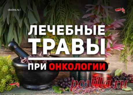 Ни одно даже самое чудодейственное лекарство не способно самостоятельно победить такую коварную болезнь, как онкология. Ему нужны союзники, а именно целебные травы и сбалансированное питание.