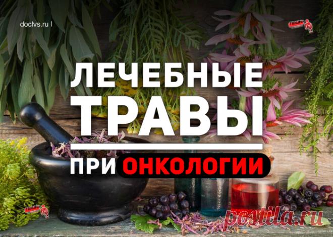 Ни одно даже самое чудодейственное лекарство не способно самостоятельно победить такую коварную болезнь, как онкология. Ему нужны союзники, а именно целебные травы и сбалансированное питание.