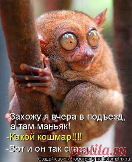 В мире интересного! | Записи в рубрике В мире интересного! | Дневник Yarinka_ru: Самое интересное и полезное для гармонии жизни