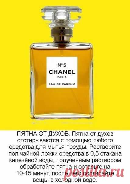 8 советов — как вывести пятна разного типа |