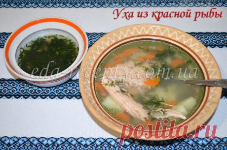 Уха из красной рыбы | Вкусные и простые домашние видео рецепты блюд