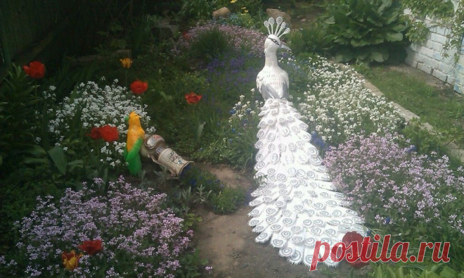 (50) Одноклассники