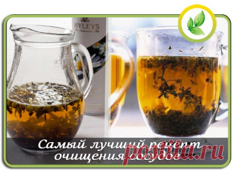 Самый лучший рецепт очищения сосудов