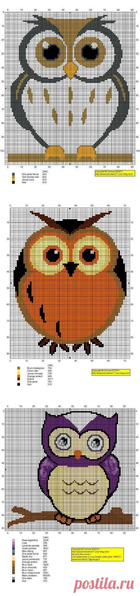 Совы. Вышивка.