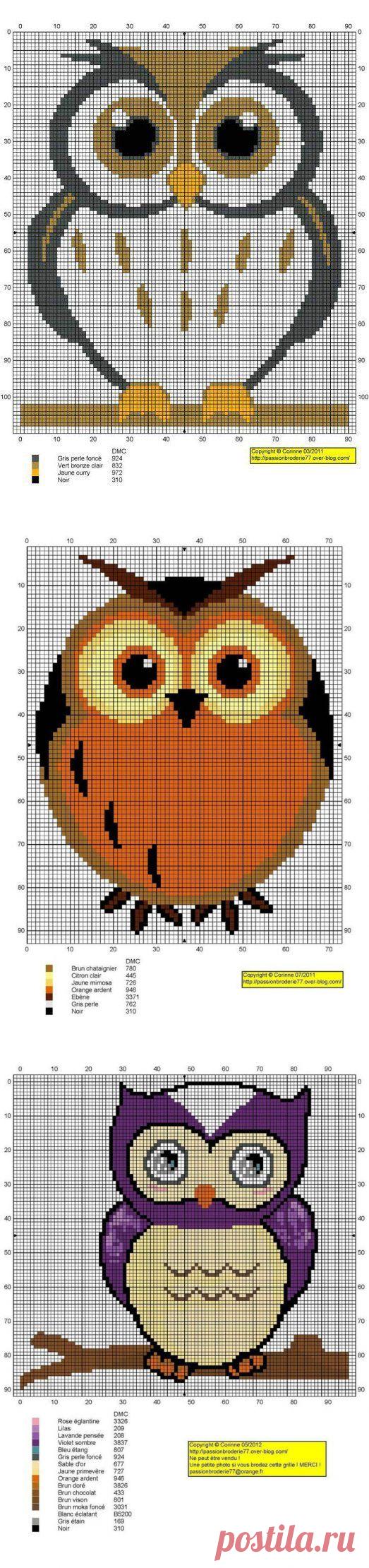 Совы. Вышивка.