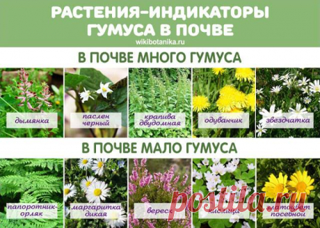 (2) Facebook