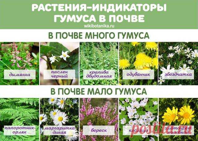 (2) Facebook