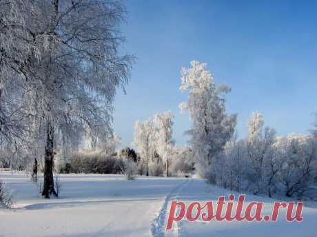 ФОТОМАСТЕРСКАЯ ПРИРОДЫ
Валентина Кобцева