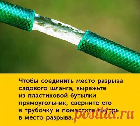 (1871) Pinterest