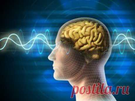7 эффективных приёмов запоминания информации
