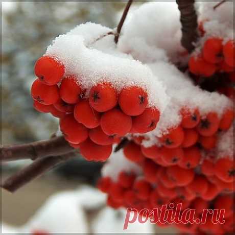 (68) Одноклассники