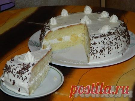 Творожно-сливочный торт с ананасами Творожно-сливочный торт с ананасами


Творожно-сливочный торт с ананасами очень прост в приготовлении, а результат превосходит все ожидания!
Для приготовления творожно-сливочного торта с ананасами пон…