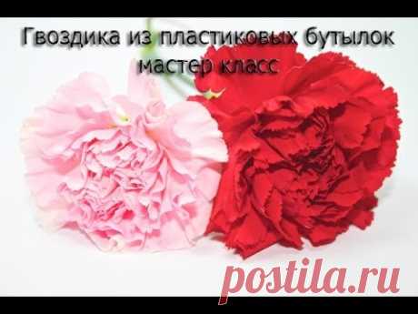 Цветы своими руками из пластиковых бутылок, гвоздика - YouTube