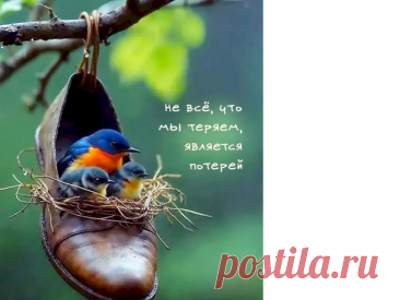 Выпуск №6571 - выпуск анекдотов сайта вокруг смеха