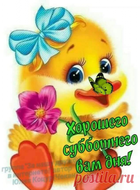 (5) Facebook