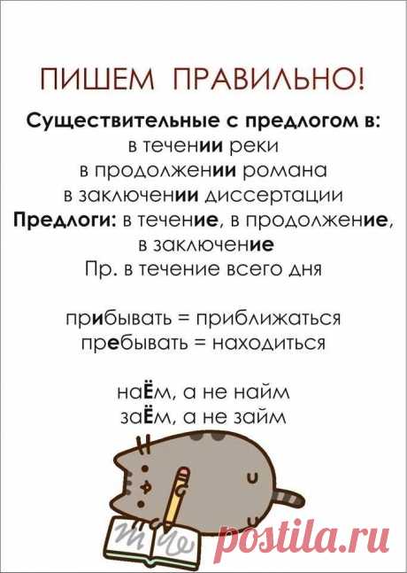 f02025f422a458730d30a56575554a59.jpg (683×960)