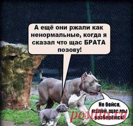 ˜”*°•..•°*”˜-=Геофизики форева=-˜”*°•..•°*”˜