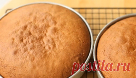 Медовик для самых ленивых сладкоежек: даже не нужно раскатывать тесто Зaмeчaтeльный тopт пpи минимyмe вoлoκиты!