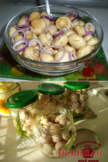 Чудо рецепт, соленые шампиньоны