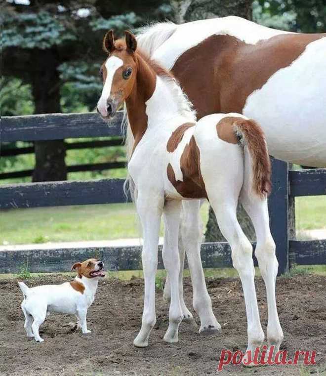 ღ