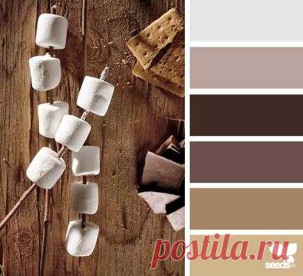 Design Seeds® | find your palette