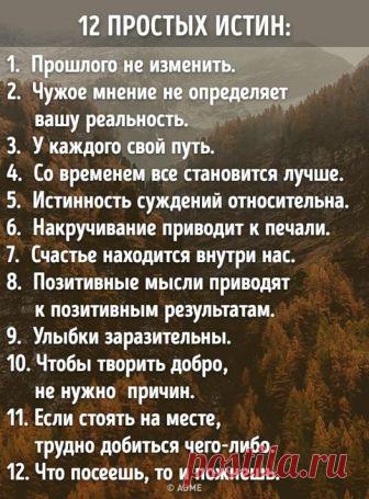 AdMe.ru - Публикации