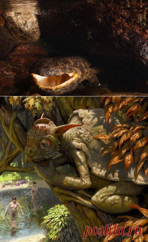 Каппа: японский водяной | Потерянные миры