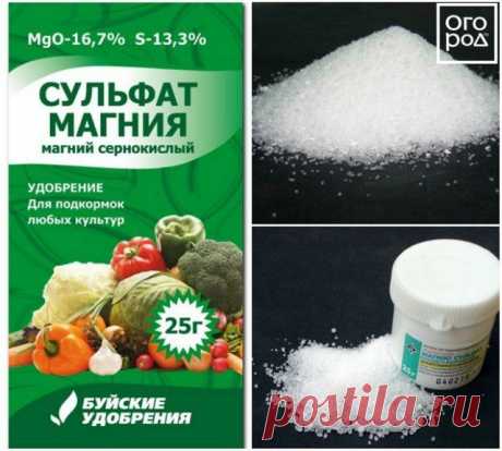 Сульфат магния: для чего нужно удобрение, инструкция по применению | Удобрения и стимуляторы (Огород.ru)