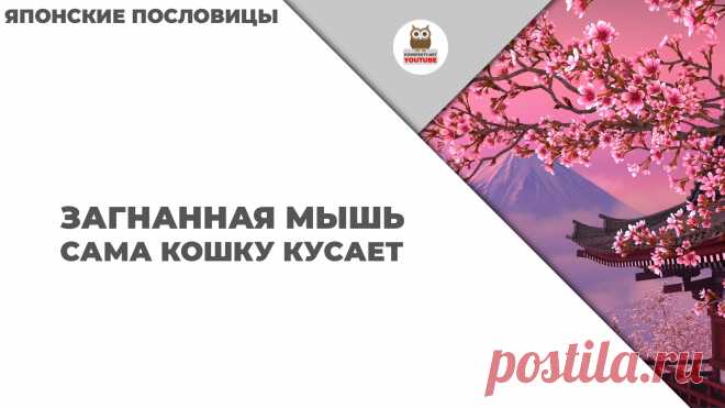 Загнанная мышь сама кошку кусает

#KONSPEKTYNET #Цитаты #Высказывания #МудрыеМысли #Пословицы #НародныеПословицы #ЯпонскиеПословицы #ЯпонскаяМудрость