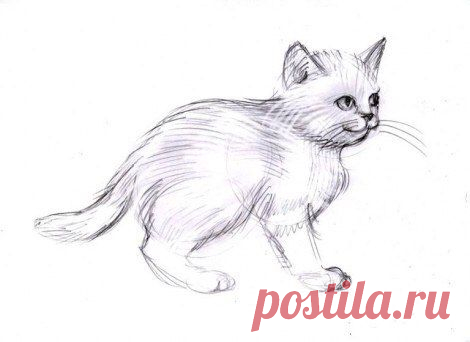 Рисуем котенка
