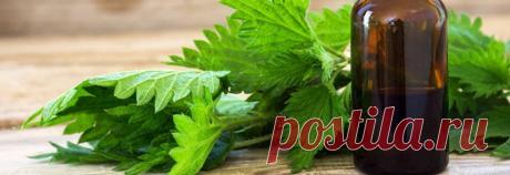 Когда я, еще не старый мужчина, начал лысеть, то просто впал в панику.Стал скупать подряд ...