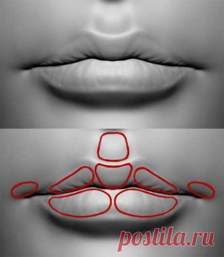 3D модель. Губы. Рот.