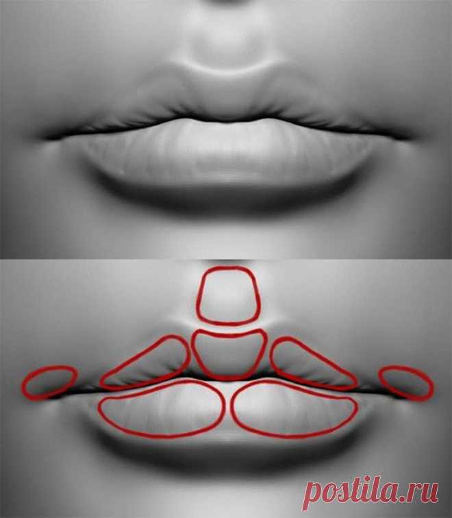 3D модель. Губы. Рот.