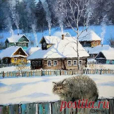Коты | Пикабу