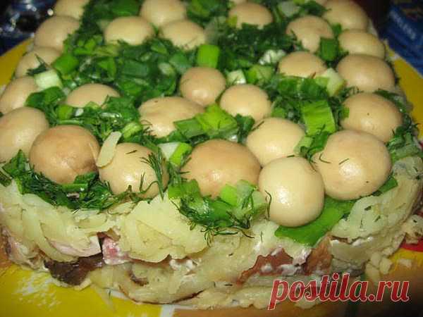 Грибная поляна
