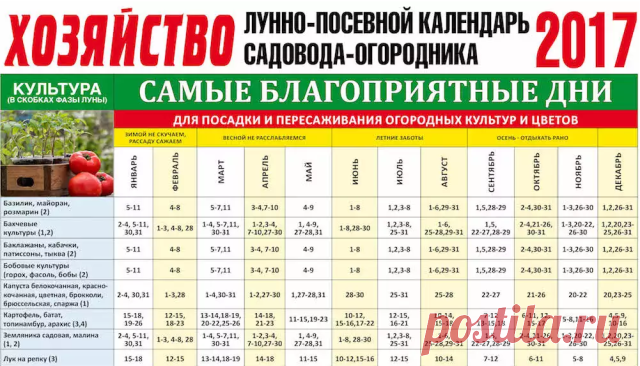 В дни новолуния и полнолуния астрологи не рекомендуют ни сеять, ни сажать. Что не означает не делать этого в обычные дни. Это упрощенный подход. Астрологи также считают, что влияние оказывает и то, какой знак зодиака проходит луна. 
Так, когда Луна проходит знаки земли (Телец, Козерог), воды (Рак, Скорпион) и воздуха (Весы), наступает оптимальное время для обработки почвы, полива, мульчирования, подкормок…

Прополку сорняков, прореживание всходов, выломку побегов лучше пер...
