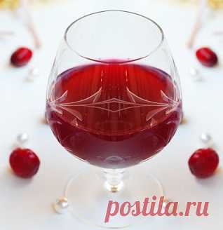 Клюква на спирту – 3 лучших рецепта домашних наливок
